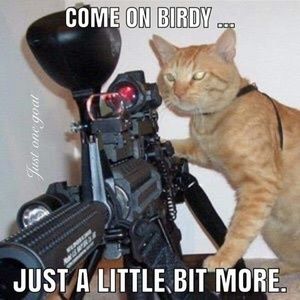 Meet your Posher, Jim